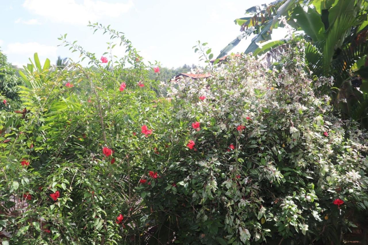 乌纳瓦图纳Old Chilli House公寓 外观 照片